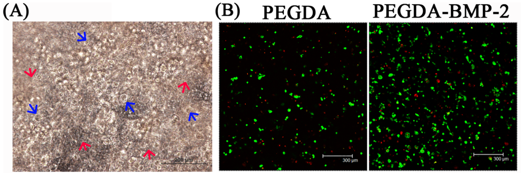 Ijms 16 23318 g003 1024