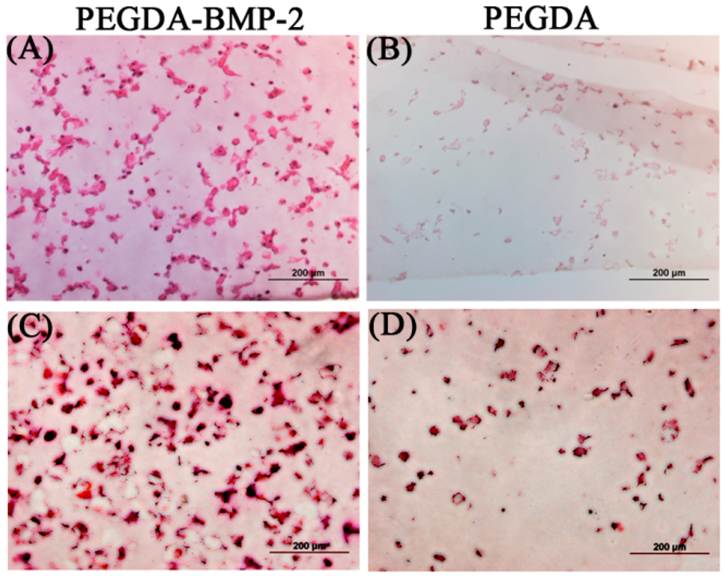 Ijms 16 23318 g005 1024