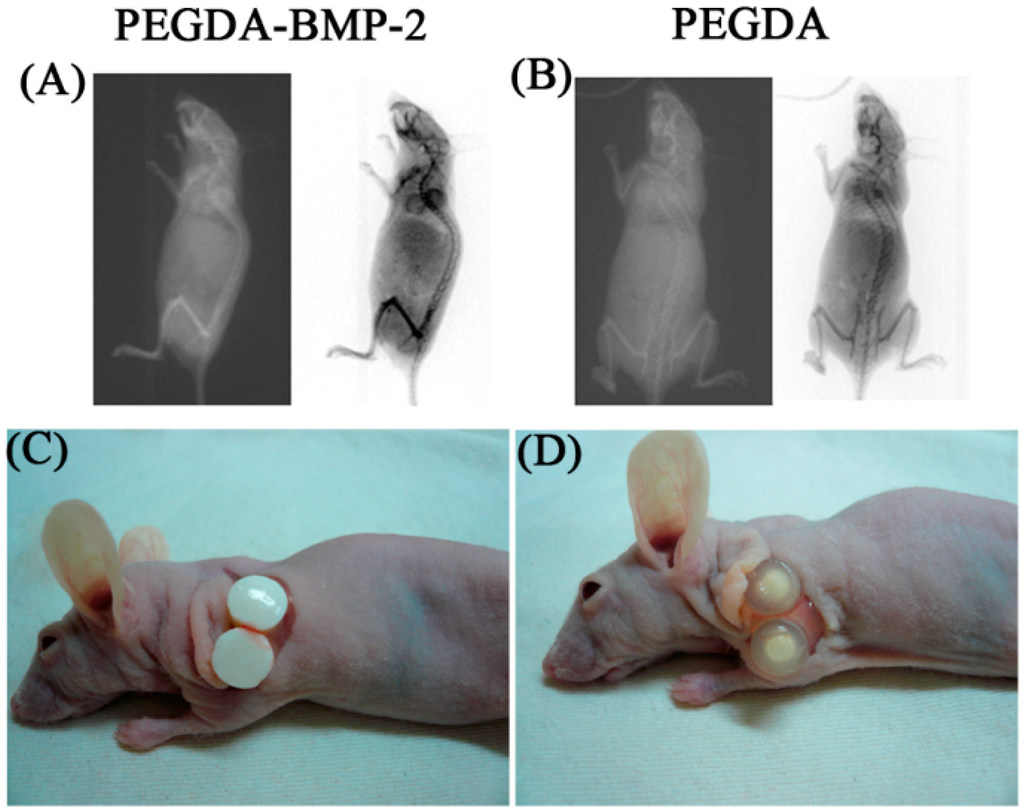 Ijms 16 23318 g007 1024