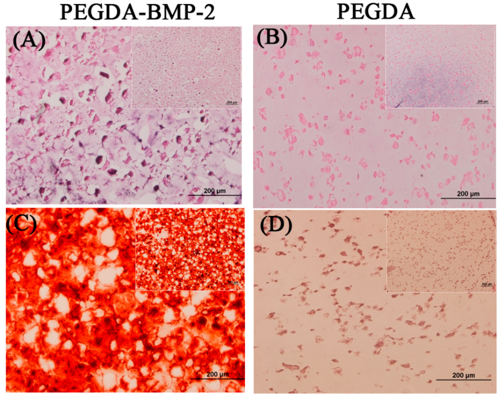 Ijms 16 23318 g009 1024