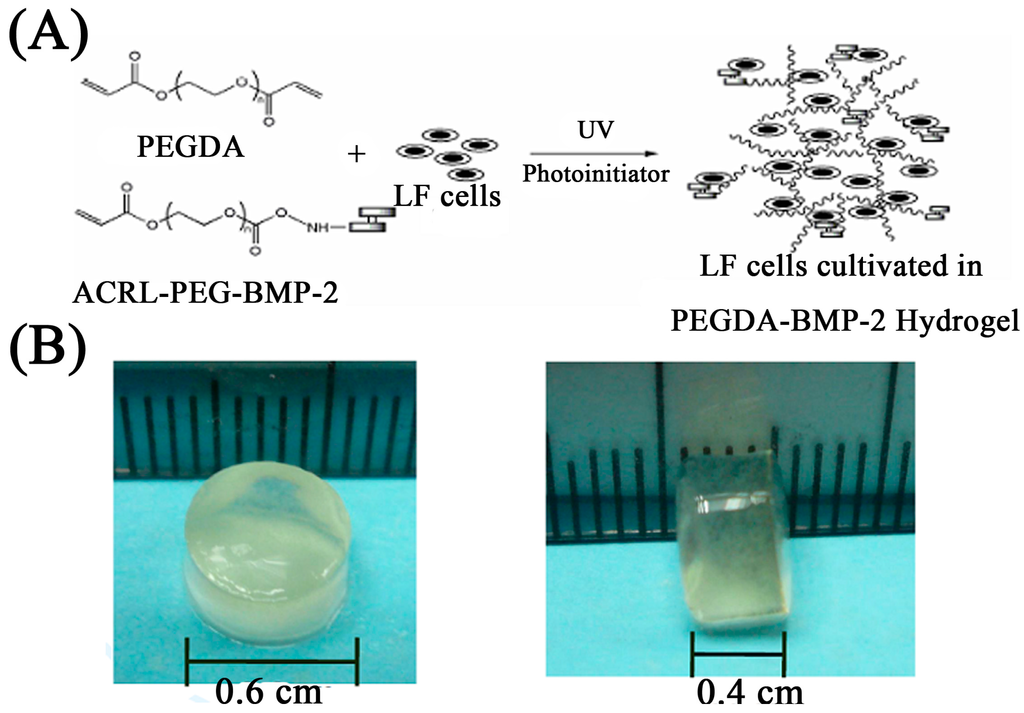 Ijms 16 23318 g010 1024