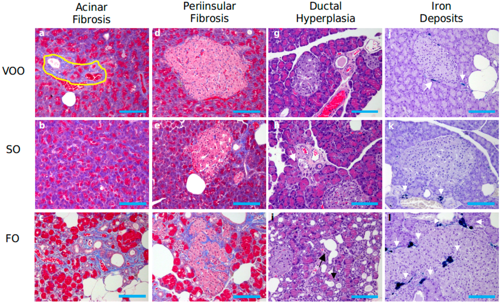 Ijms 16 23425 g002 1024