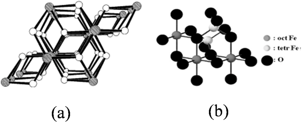 Ijms 16 23482 g001a 1024