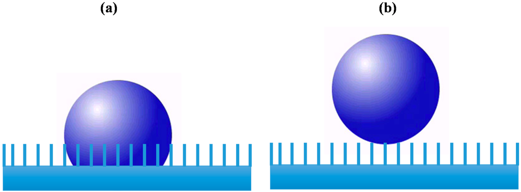 Ijms 16 23482 g002 1024