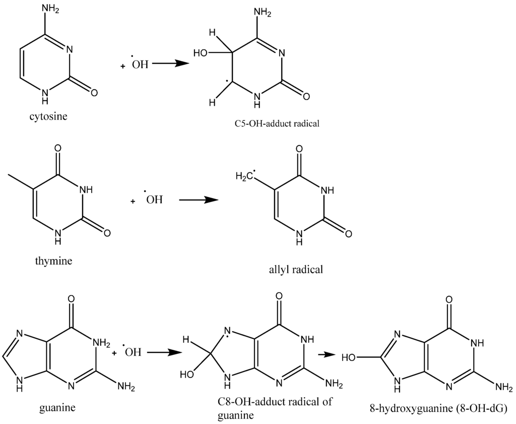 Ijms 16 23482 g003 1024