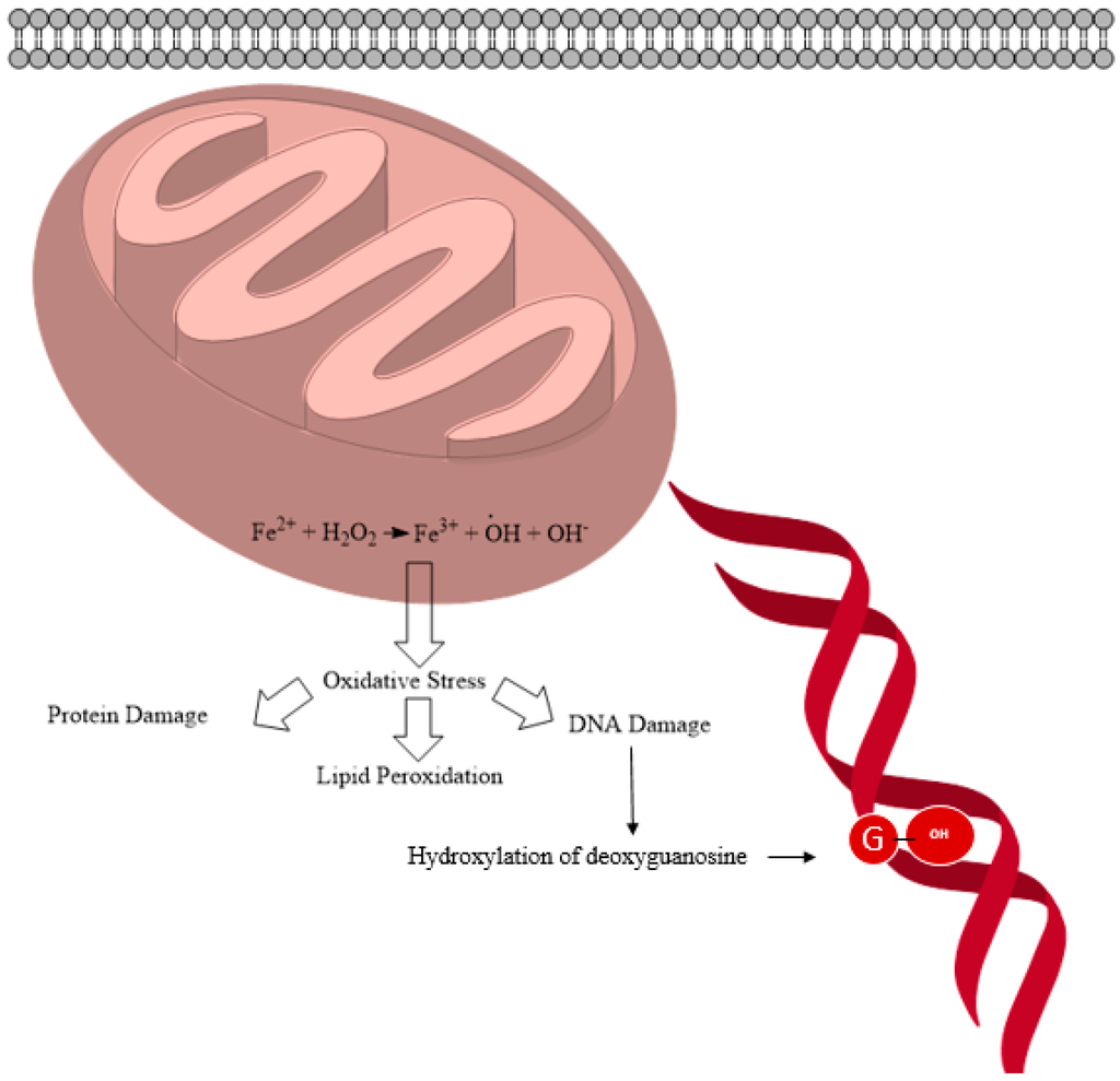 Ijms 16 23482 g004 1024