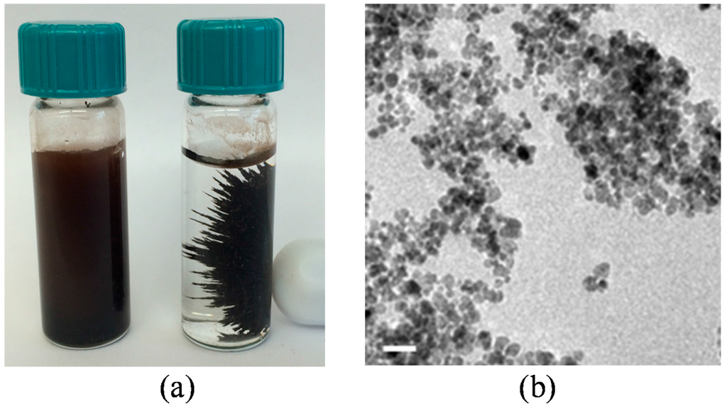 Ijms 16 23482 g006 1024