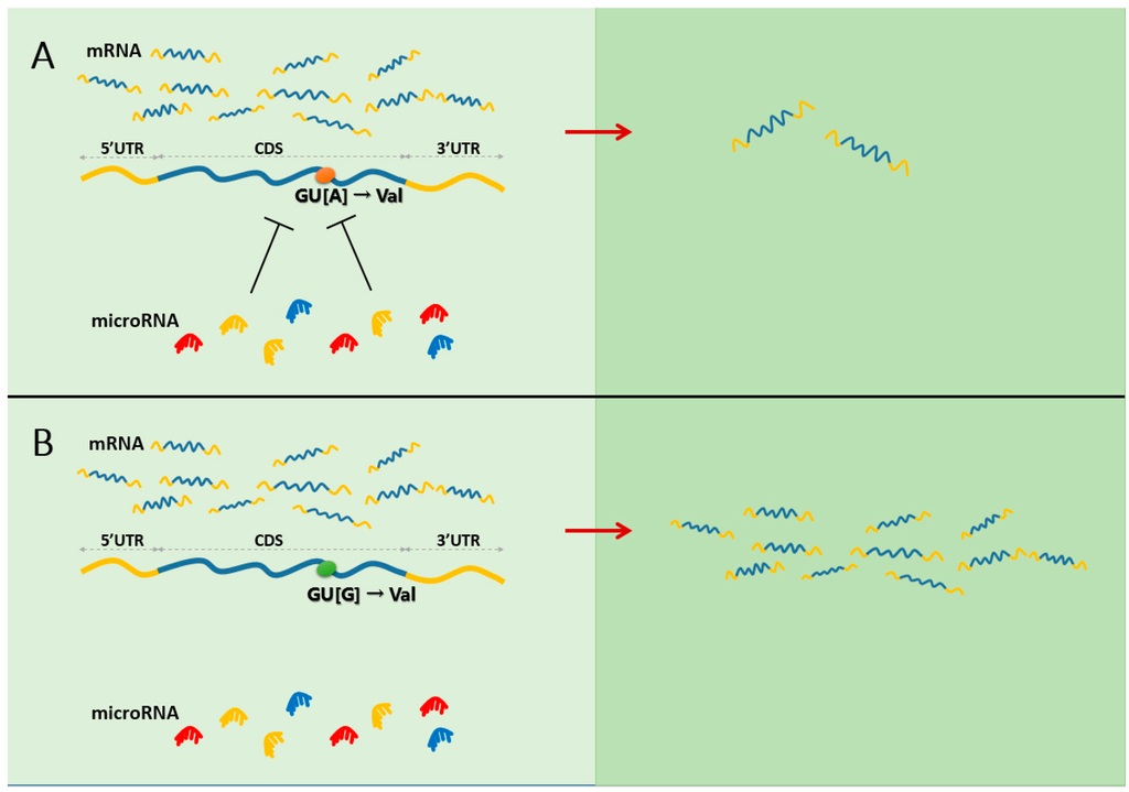 Ijms 16 23545 g001 1024