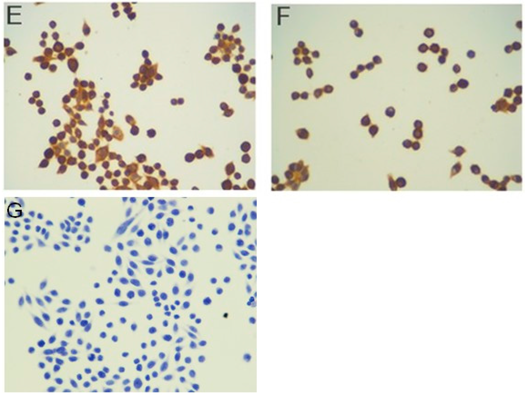 Ijms 16 23615 g002b 1024