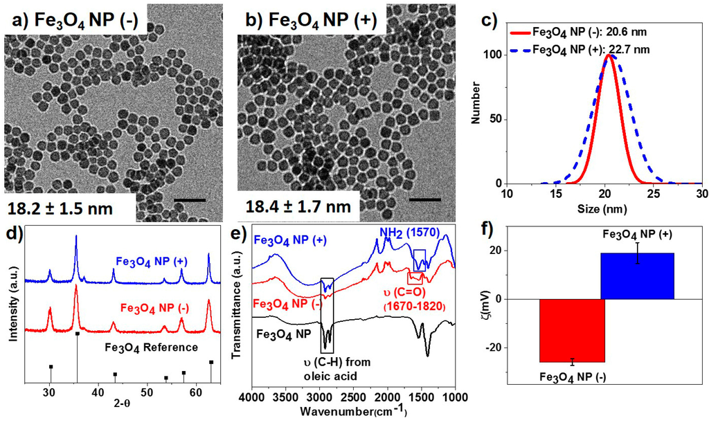 Ijms 16 23630 g001 1024