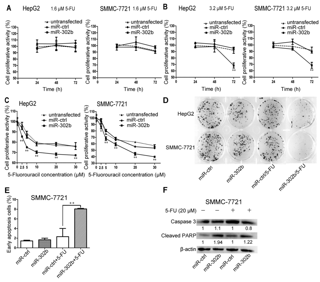 Ijms 16 23668 g002 1024