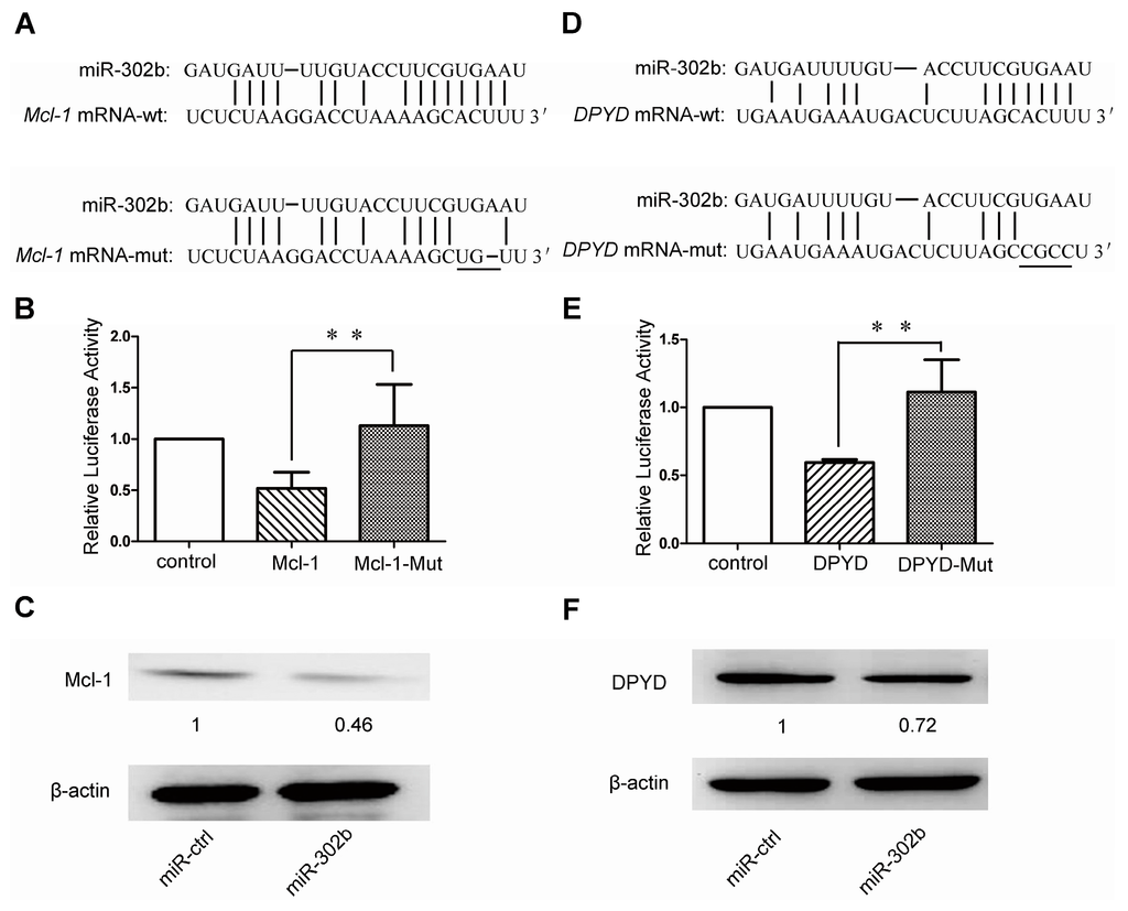 Ijms 16 23668 g003 1024