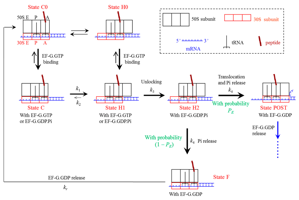 Ijms 16 23723 g008 1024