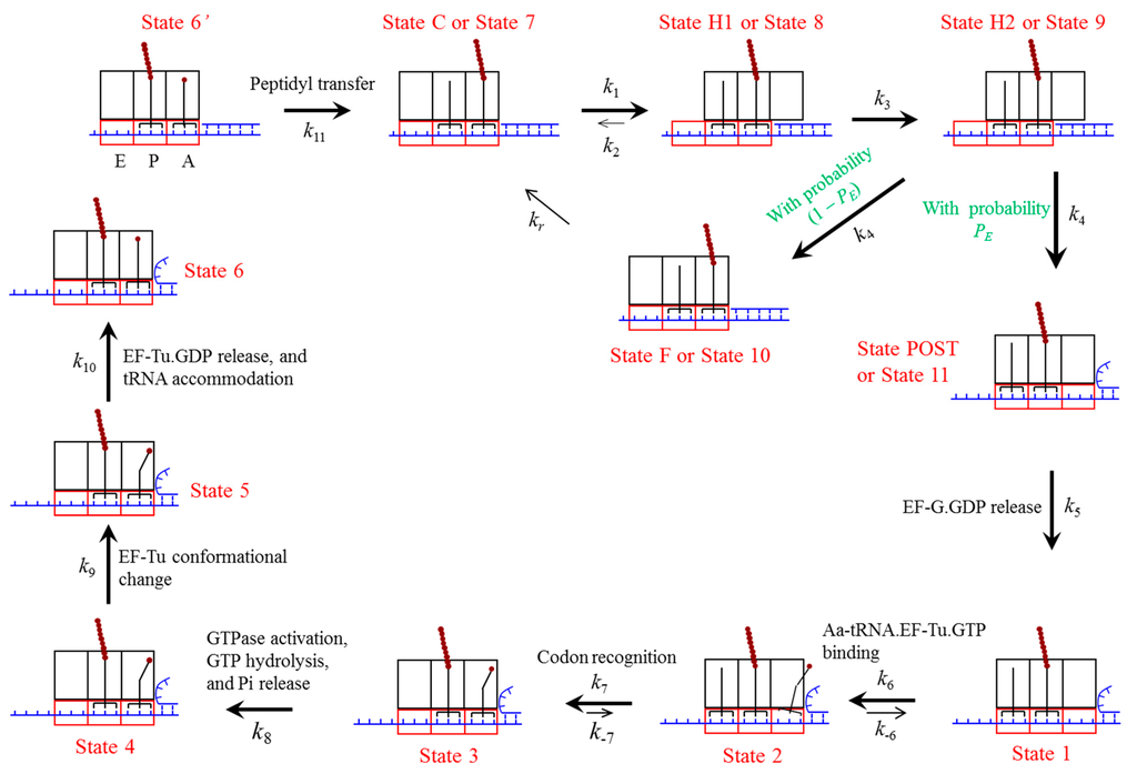 Ijms 16 23723 g009 1024