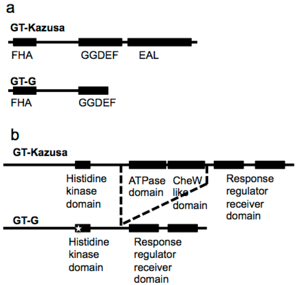 Ijms 16 24081 g001 1024
