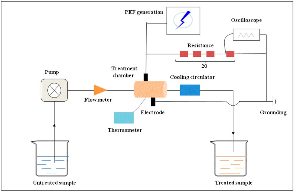 Ijms 16 24159 g007 1024