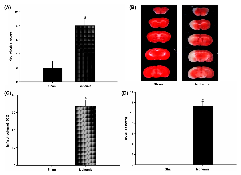 Ijms 16 24302 g001 1024
