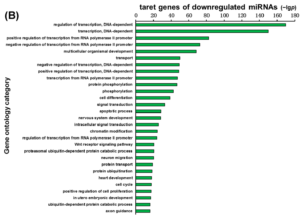 Ijms 16 24302 g005b 1024