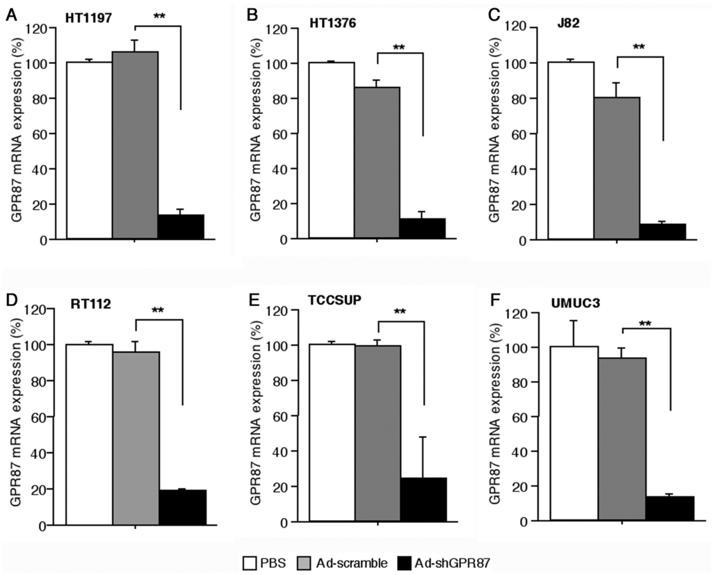 Ijms 16 24319 g003 1024