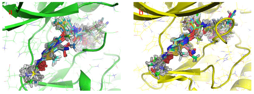 Ijms 16 24451 g003 1024