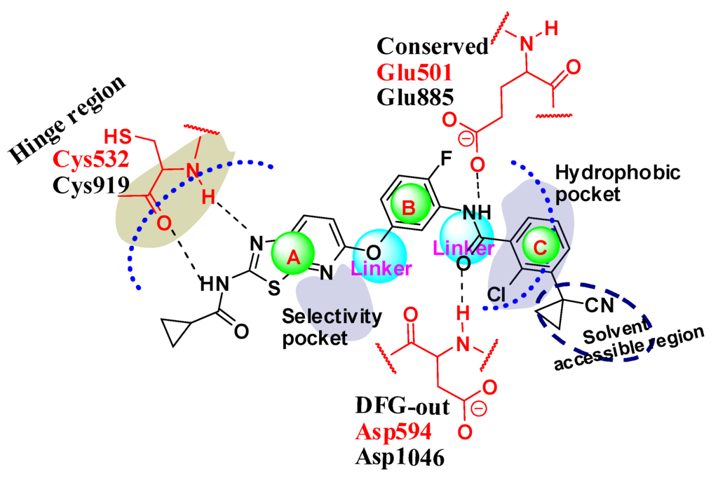Ijms 16 24451 g012 1024