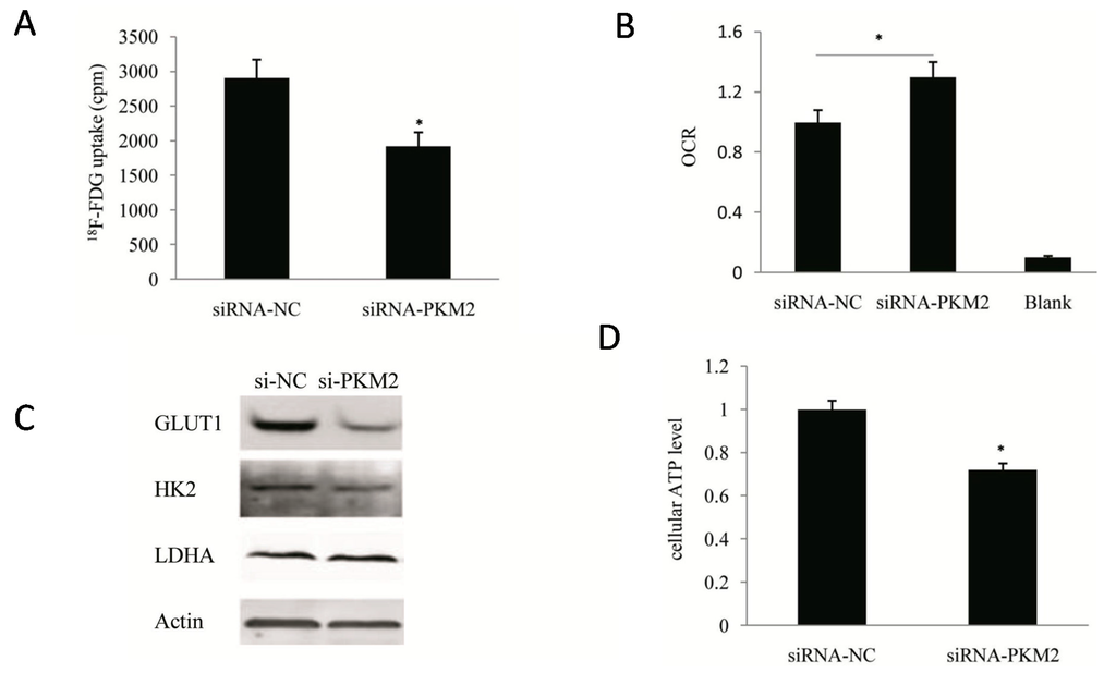 Ijms 16 24574 g004 1024