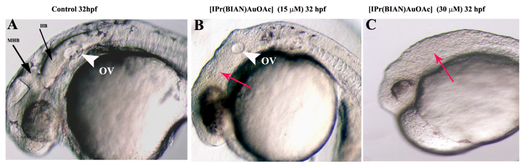 Ijms 16 24718 g002 1024