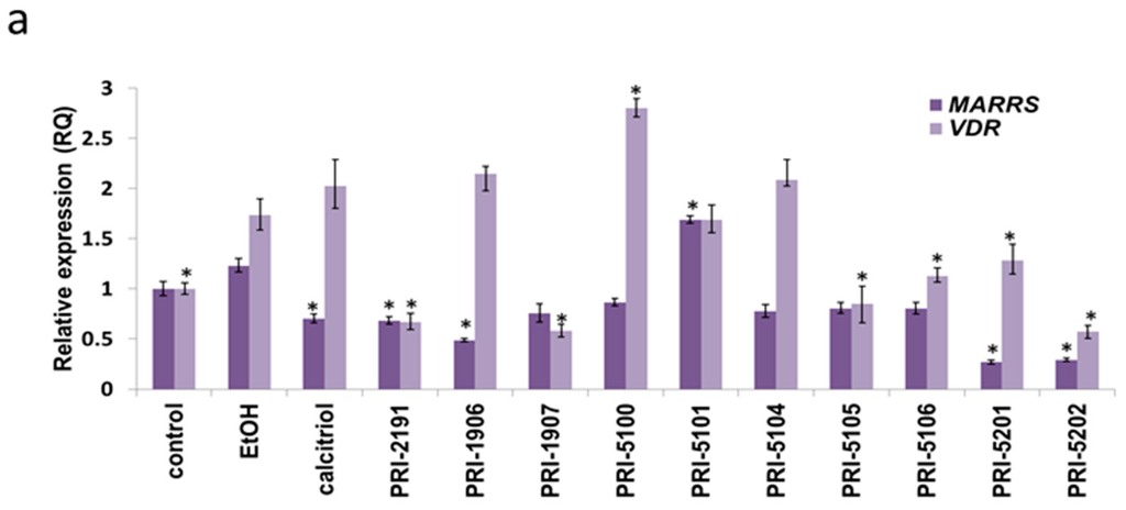 Ijms 16 24873 g004a 1024