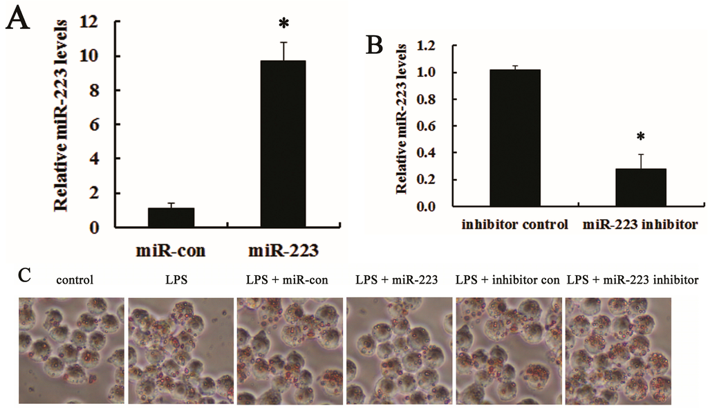 Ijms 16 24965 g003a 1024