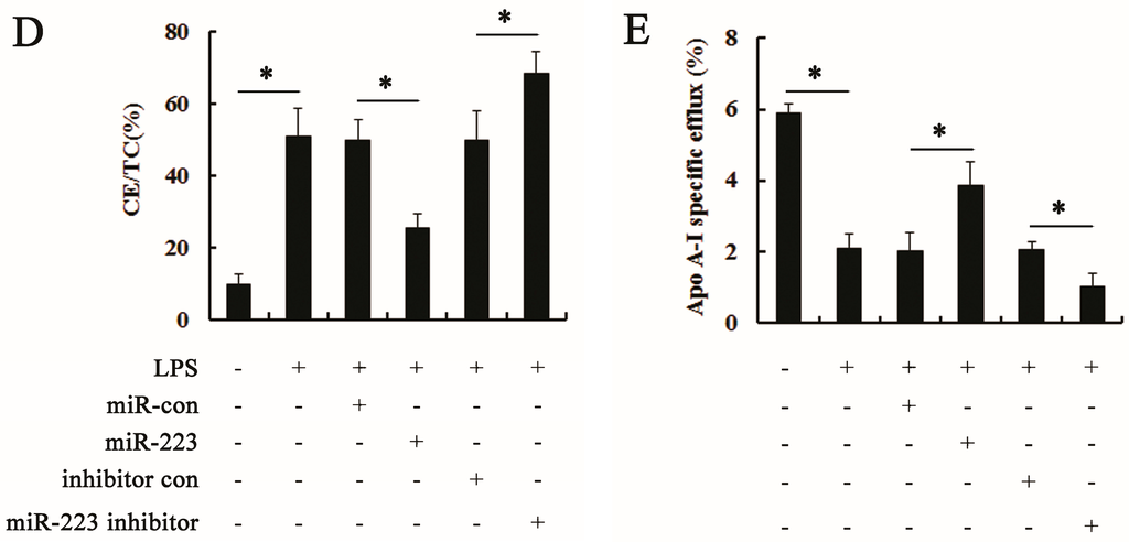 Ijms 16 24965 g003b 1024