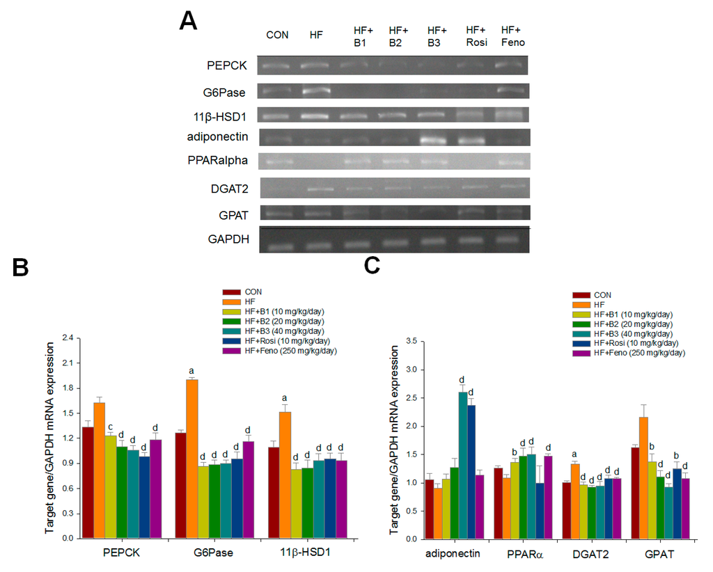 Ijms 16 24983 g005 1024