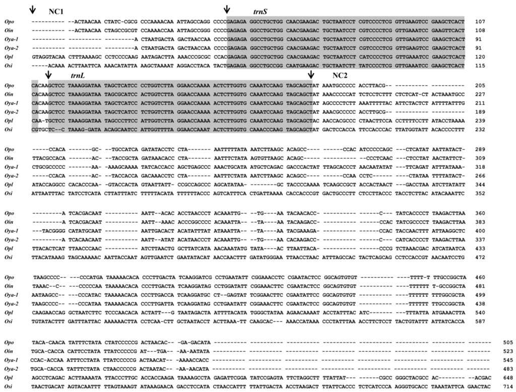 Ijms 16 25031 g005a 1024