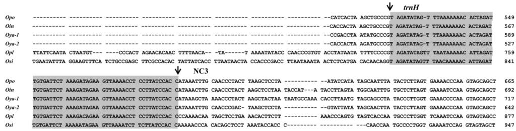 Ijms 16 25031 g005b 1024