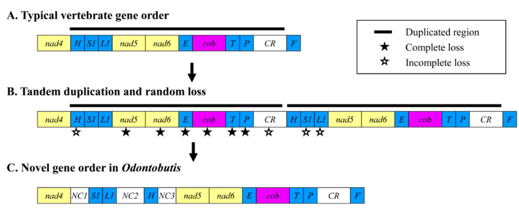Ijms 16 25031 g006 1024