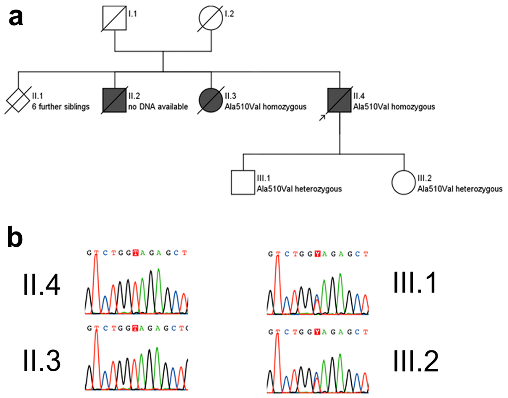 Ijms 16 25050 g002 1024