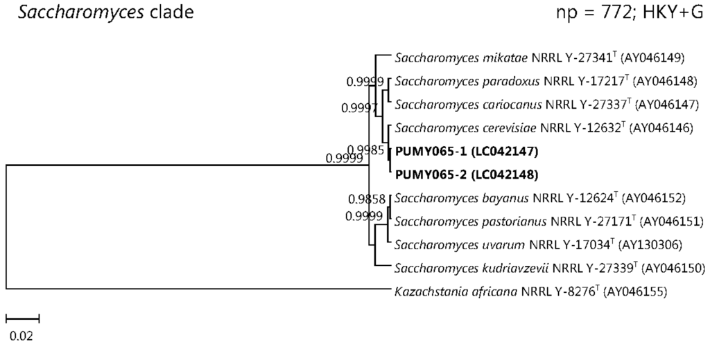 Ijms 16 25067 g002c 1024