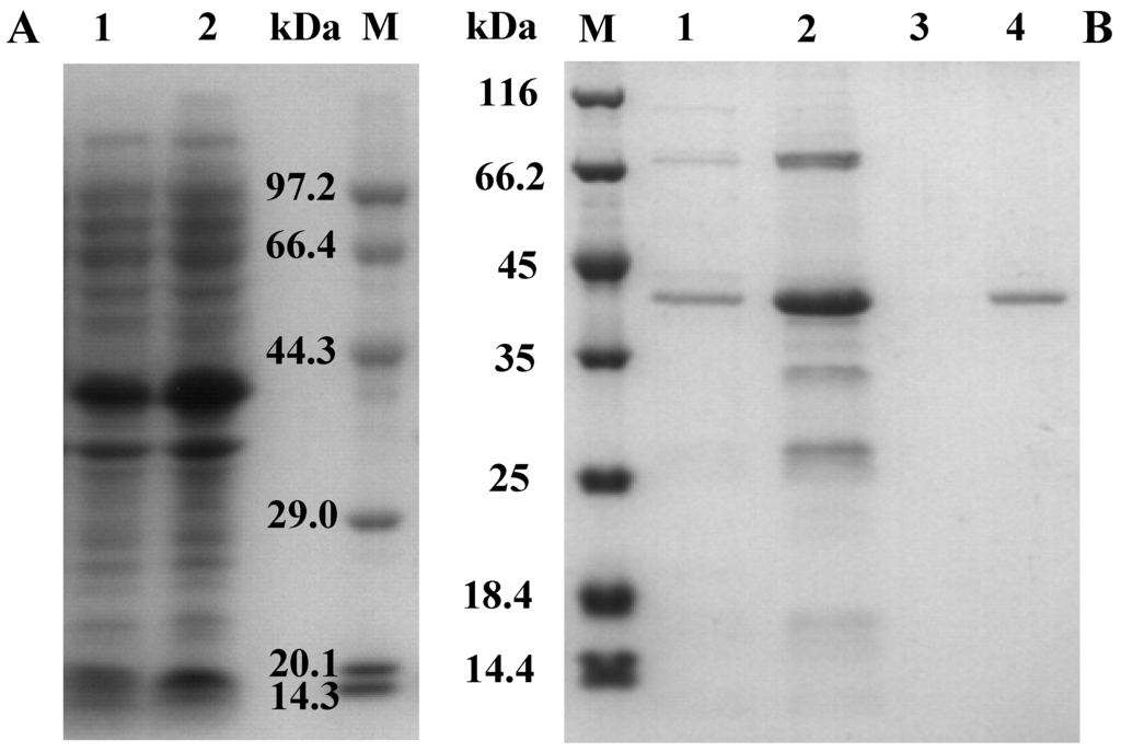 Ijms 16 25080 g002 1024
