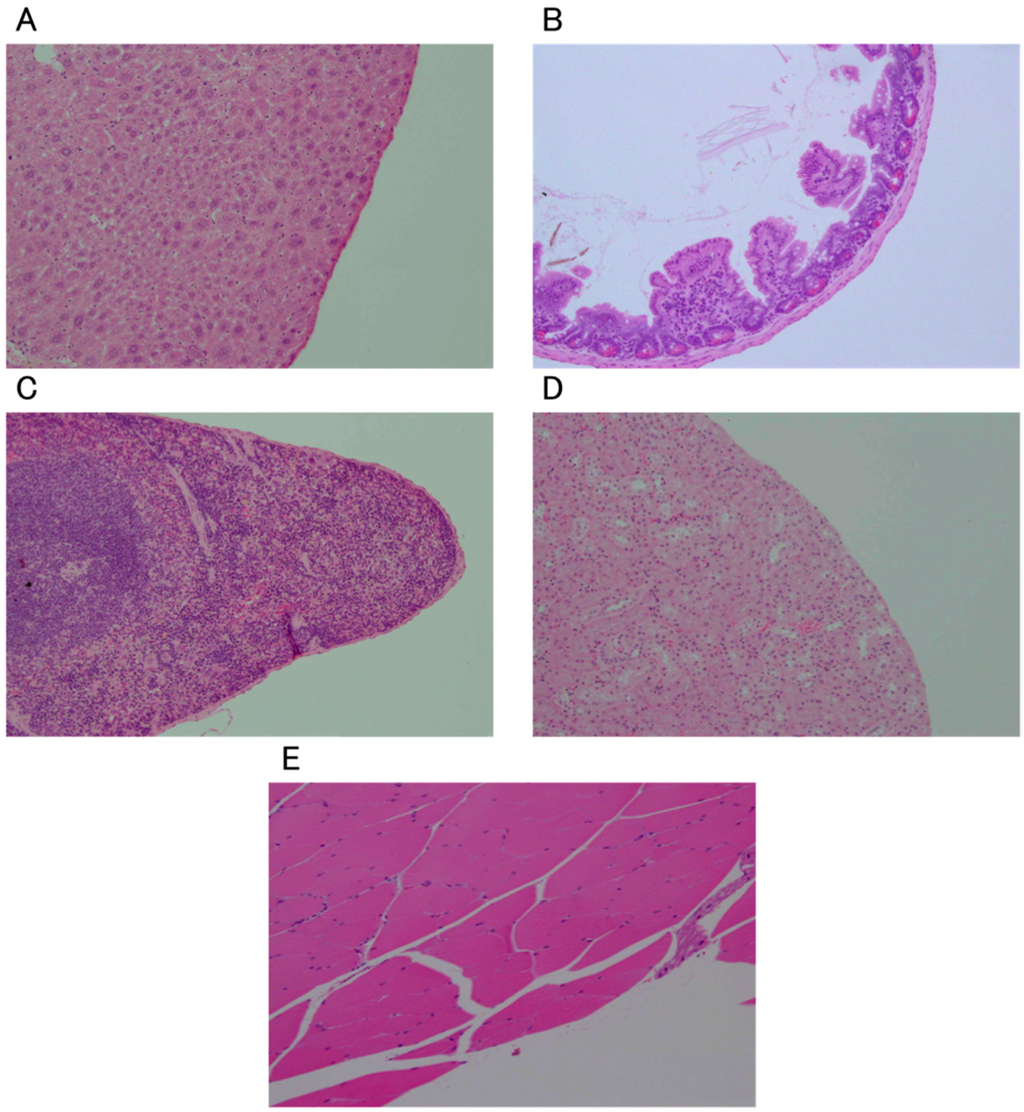 Ijms 16 25108 g002 1024