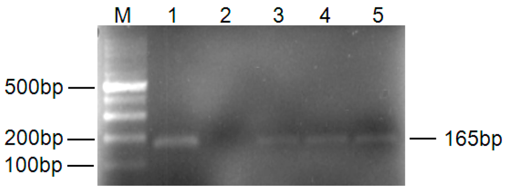 Ijms 16 25121 g001 1024