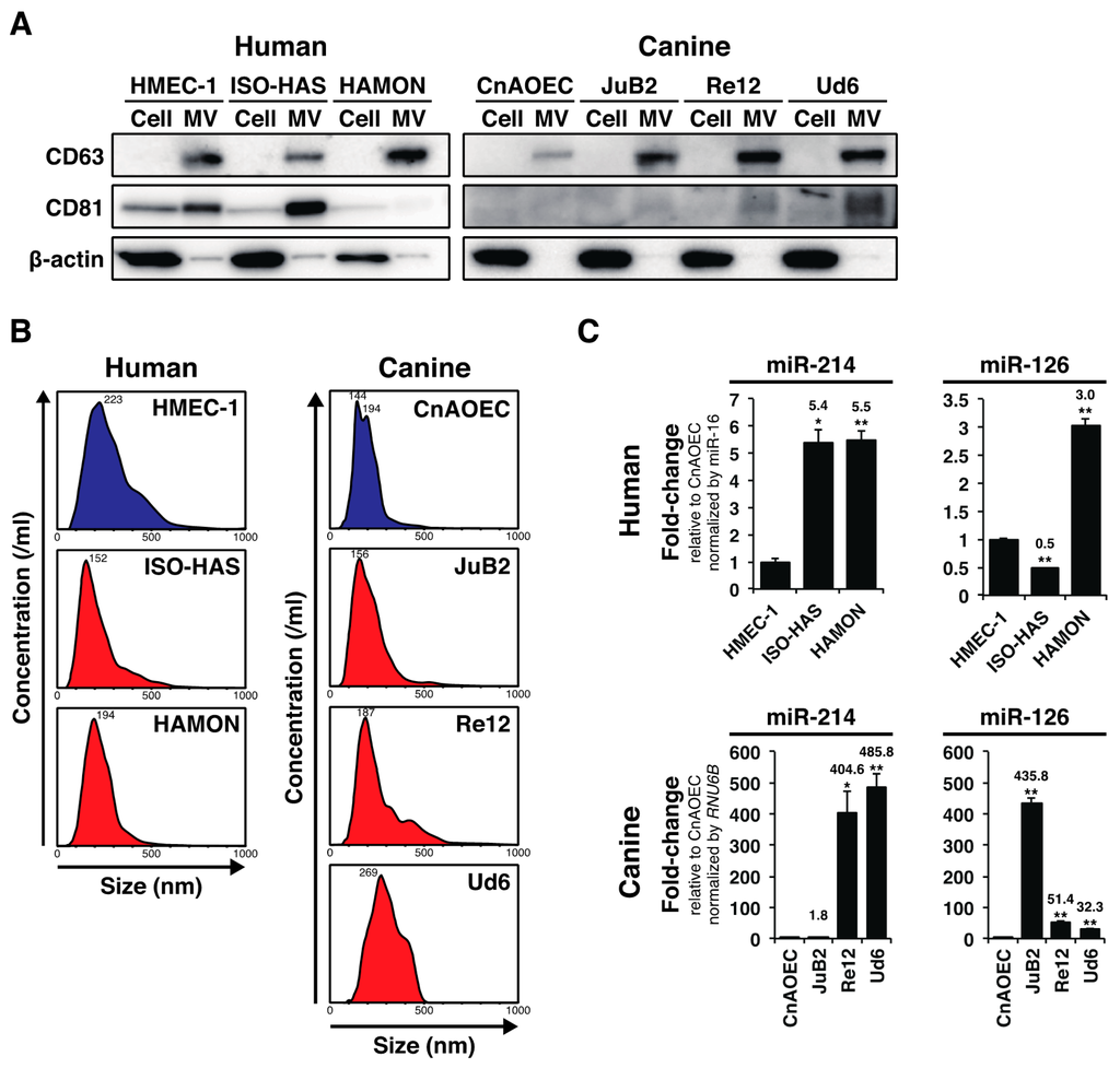 Ijms 16 25377 g001 1024