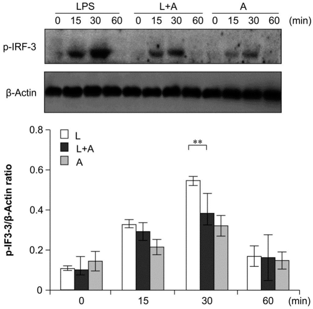 Ijms 16 25502 g008 1024