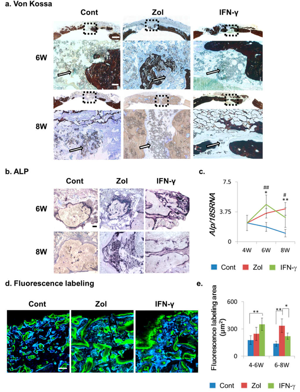 Ijms 16 25678 g003 1024