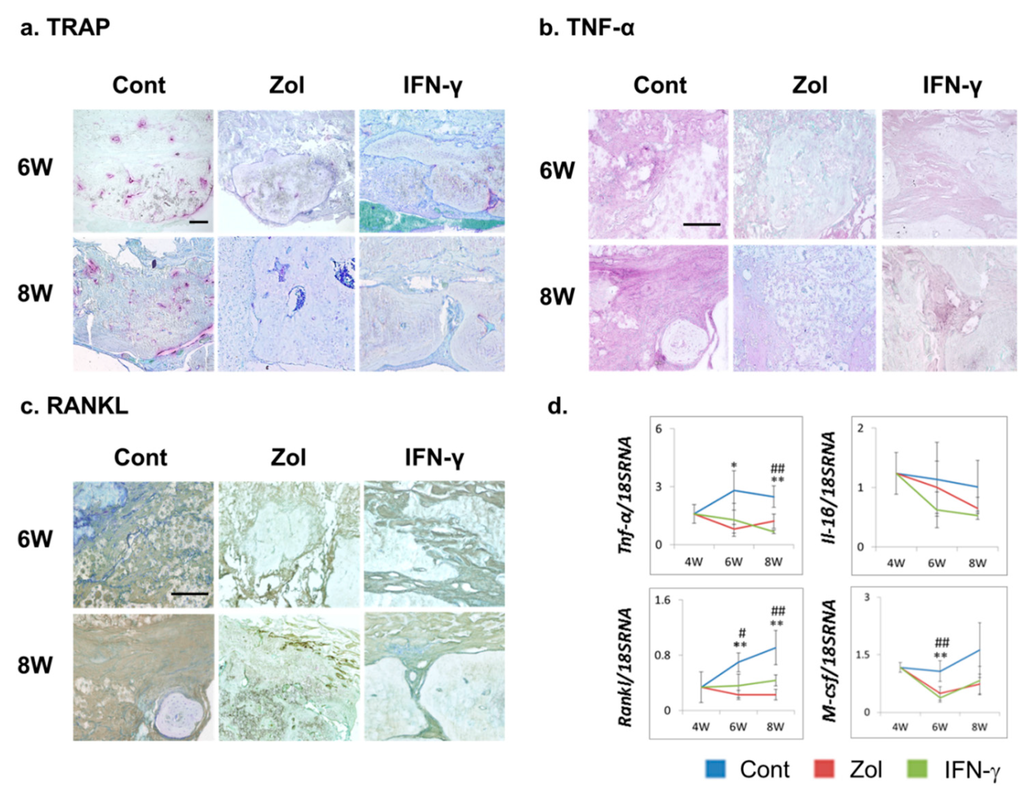 Ijms 16 25678 g004 1024