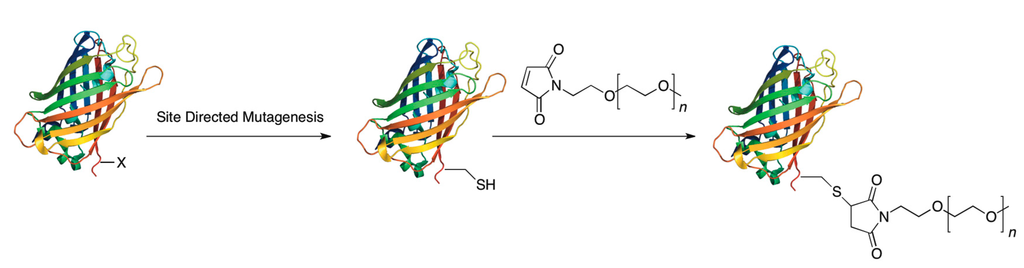 Ijms 16 25831 g002 1024