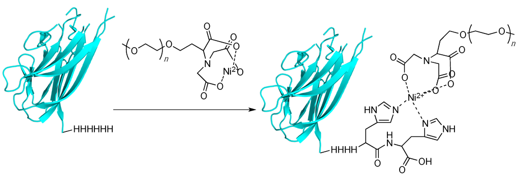 Ijms 16 25831 g004 1024