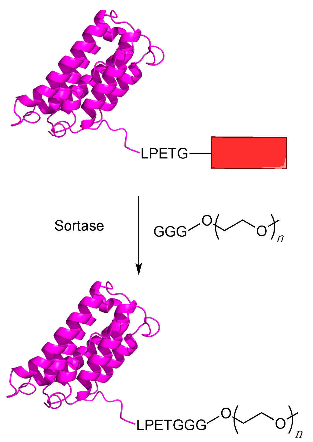 Ijms 16 25831 g005 1024