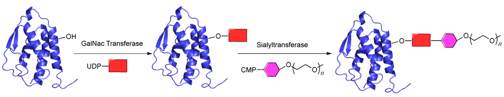 Ijms 16 25831 g007 1024