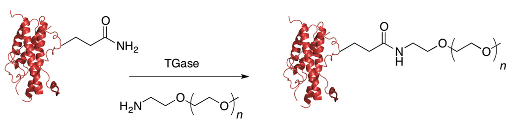 Ijms 16 25831 g008 1024