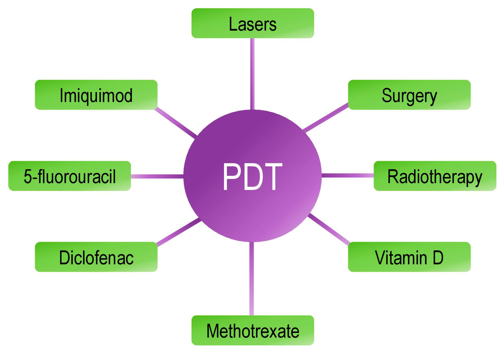 Ijms 16 25912 g002 1024