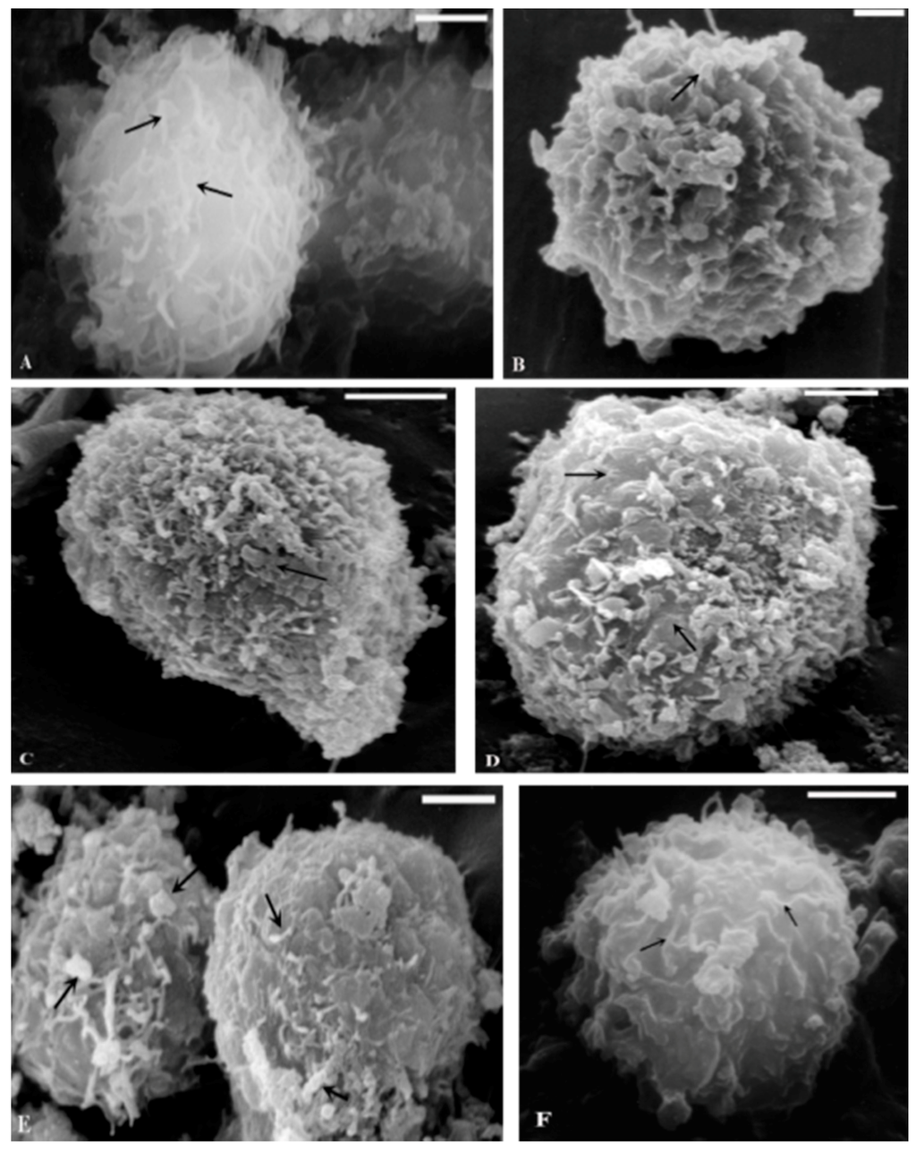 Ijms 16 25936 g003 1024